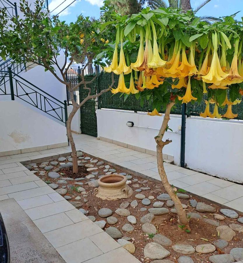 Dimitris Place Near Athens Airport Koropi Exterior foto